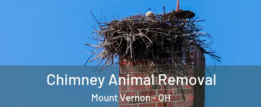  Chimney Animal Removal Mount Vernon - OH