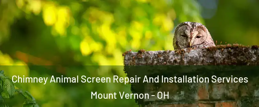  Chimney Animal Screen Repair And Installation Services Mount Vernon - OH