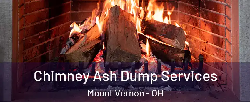 Chimney Ash Dump Services Mount Vernon - OH