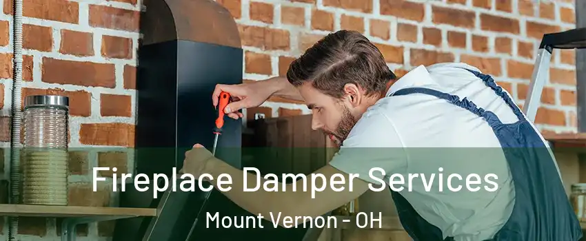 Fireplace Damper Services Mount Vernon - OH