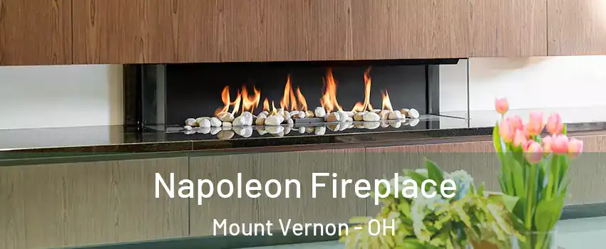 Napoleon Fireplace Mount Vernon - OH
